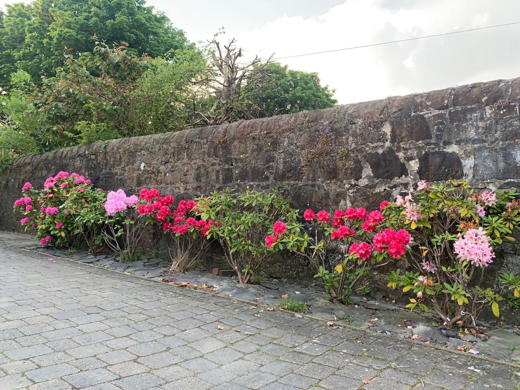 Braidmead House Hotel Irvine  Luaran gambar